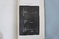 新竹臺中烈震報告藏品圖，第6張