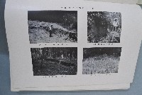 新竹臺中烈震報告藏品圖，第7張