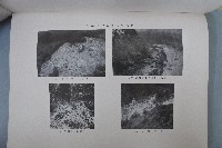 新竹臺中烈震報告藏品圖，第8張