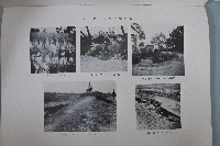 新竹臺中烈震報告藏品圖，第9張