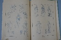 記念藏品圖，第15張