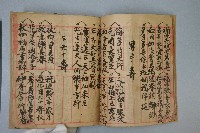 新版無所不有鮮人願全藏品圖，第6張