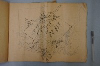 刺繡紋樣畫稿藏品圖，第4張