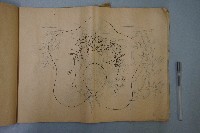 刺繡紋樣畫稿藏品圖，第7張