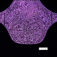 吉祥繡扇菱形客家肚兜藏品圖，第2張