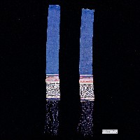 臺灣漢人族群腰帶雙頭藏品圖，第1張