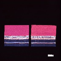 臺灣閩籍女子飾褲藏品圖，第1張