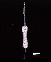 臺灣南部客家男性扇袋藏品圖，第2張