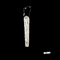 臺灣客家族群男性扇袋藏品圖，第2張