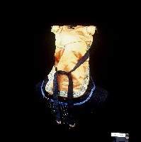 臺灣漢人族群童帽藏品圖，第2張