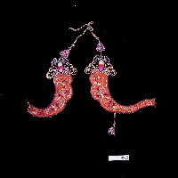 臺灣漢人族群蚊帳鉤藏品圖，第2張