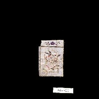 臺灣漢人族群男性紙煙袋藏品圖，第2張