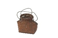 細孔目蚵簍藏品圖，第1張