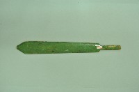 河南戲劇令牌藏品圖，第2張