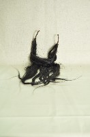 鬍鬚佩件藏品圖，第15張