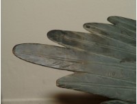 銅鷹立像藏品圖，第2張