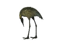 銅鶴立像藏品圖，第2張