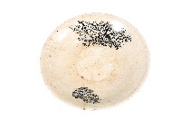 黑彩印花花草紋白地瓷盤藏品圖，第1張