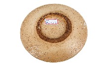 彩繪蒲公英紋盤藏品圖，第2張