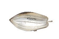 錦綾堂款銀製木瓜形皿藏品圖，第1張