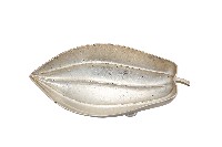 錦綾堂款銀製木瓜形皿藏品圖，第1張