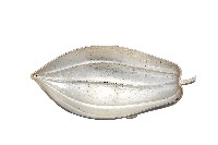 錦綾堂款銀製木瓜形皿藏品圖，第1張