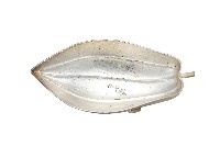 錦綾堂款銀製木瓜形皿藏品圖，第1張