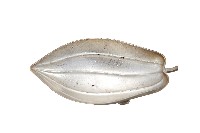 錦綾堂款銀製木瓜形皿藏品圖，第1張