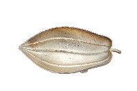 錦綾堂款銀製木瓜形皿藏品圖，第1張