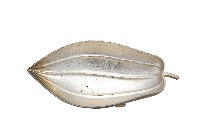 錦綾堂款銀製木瓜形皿藏品圖，第1張