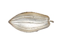 錦綾堂款銀製木瓜形皿藏品圖，第1張