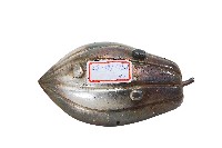 錦綾堂款銀製木瓜形皿藏品圖，第2張