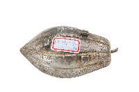錦綾堂款銀製木瓜形皿藏品圖，第2張