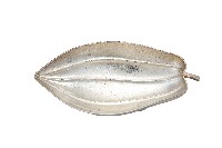 錦綾堂款銀製木瓜形皿藏品圖，第1張