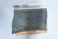 䜵詩正本藏品圖，第8張