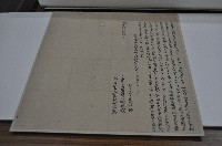 乾隆六十年楊瑞立賣盡根園契藏品圖，第1張