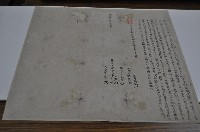 光緒十三年林聘林芒仝立典園契藏品圖，第1張