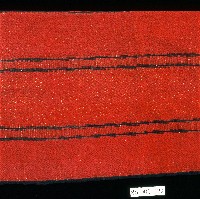 泰雅族織品橫紋披肩藏品圖，第3張