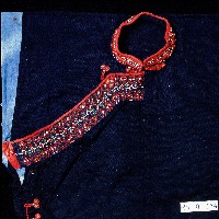 排灣族織紋漢式長衣藏品圖，第3張