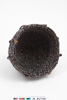 籐編短圓帽藏品圖，第2張