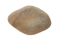 平埔族凹石藏品圖，第1張