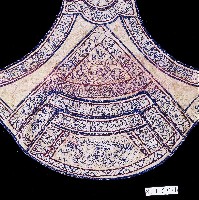 臺灣北部客家族群女性肚兜藏品圖，第2張