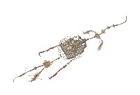 銀製鎏金三仙吊飾藏品圖，第2張