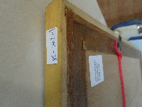 裱框彩紙版畫藏品圖，第5張