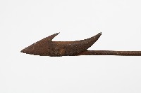 狩獵標槍藏品圖，第2張
