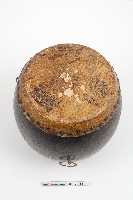 牛皮鉚釘大鼓藏品圖，第2張