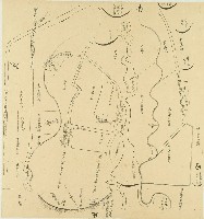 林本源田產地圖藏品圖，第1張