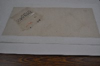 道光七年楊媽旺等契字藏品圖，第1張