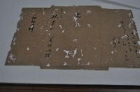 道光二十六年林景仁等丈單藏品圖，第1張