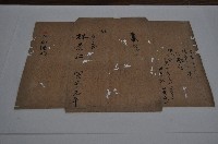 咸豐四年林景仁等丈單藏品圖，第1張